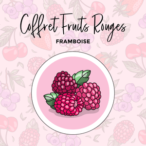 La boutique de Margaux Coffret Framboise - Coffret #12 organisation papeterie margauxstips les astuces de margaux plan with me bullet journal