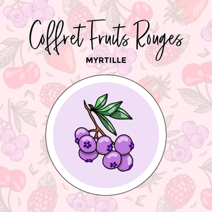 La boutique de Margaux Coffret Myrtille - Coffret #12 organisation papeterie margauxstips les astuces de margaux plan with me bullet journal